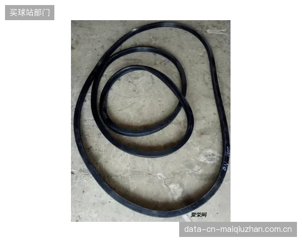 模块化的动态标定设备，将催生更具韧性的去中心化FKM密封圈供应链